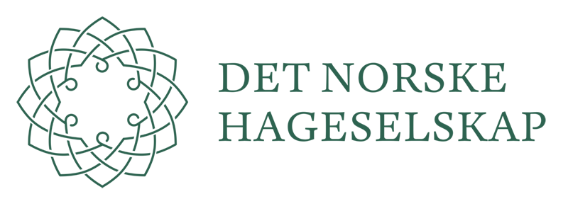 Logo for Det Norske Hageselskap med et grønt, geometrisk blomsterdesign og navnet i grønn tekst