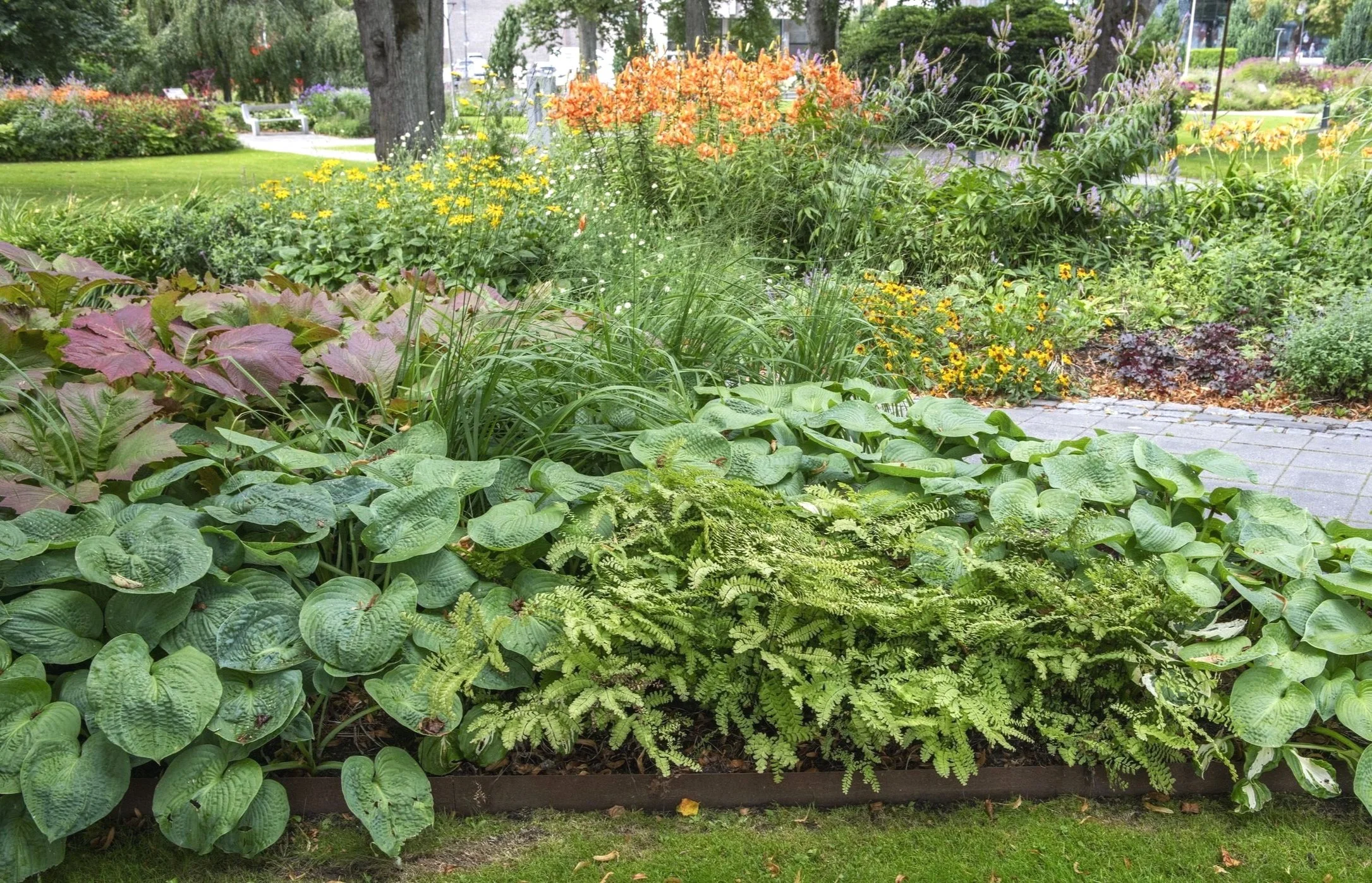 Frodig blomsterhage med ulike grønne blader, fargerike blomster og en steinbelagt vei.