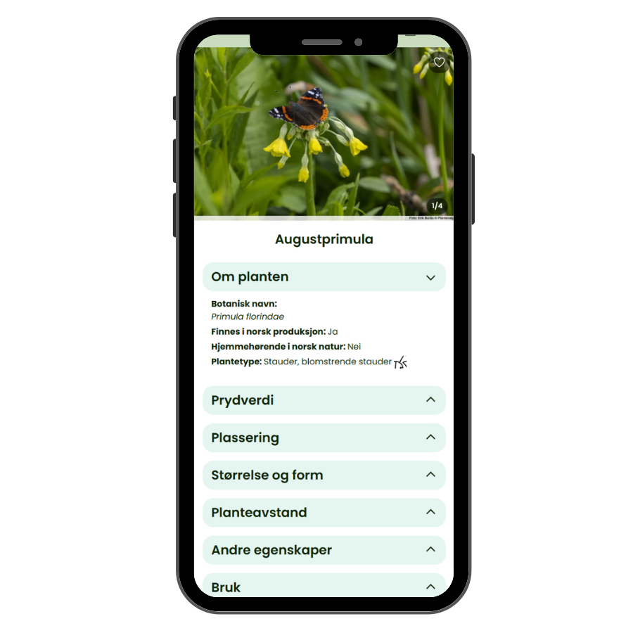 Planteinformasjon