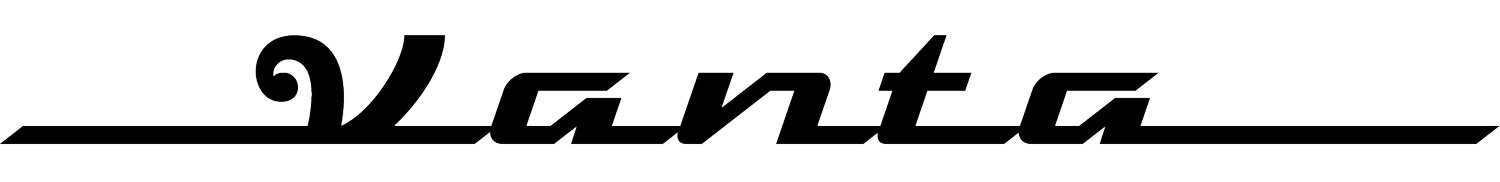 Vanta Auto Transport