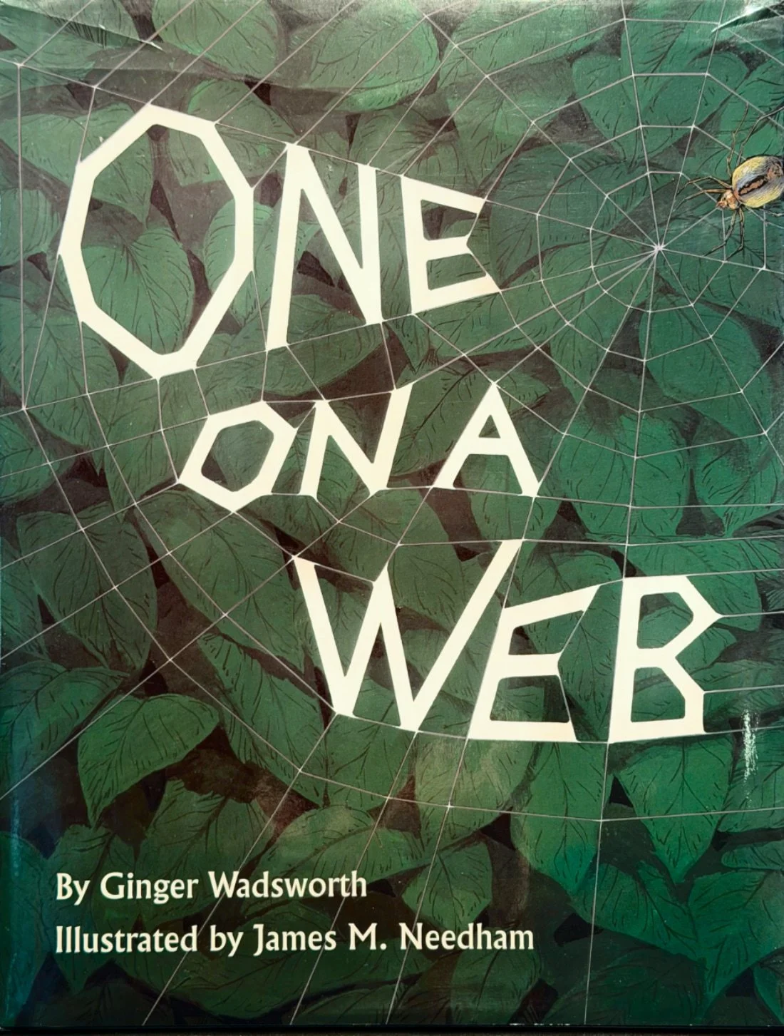 Book: One On a Web