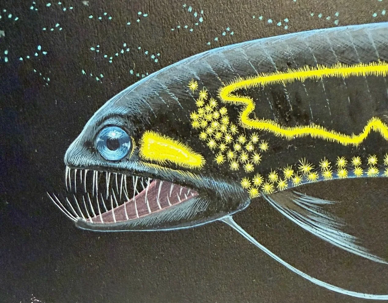 we-world-deep-sea-detail-j-needham.jpg