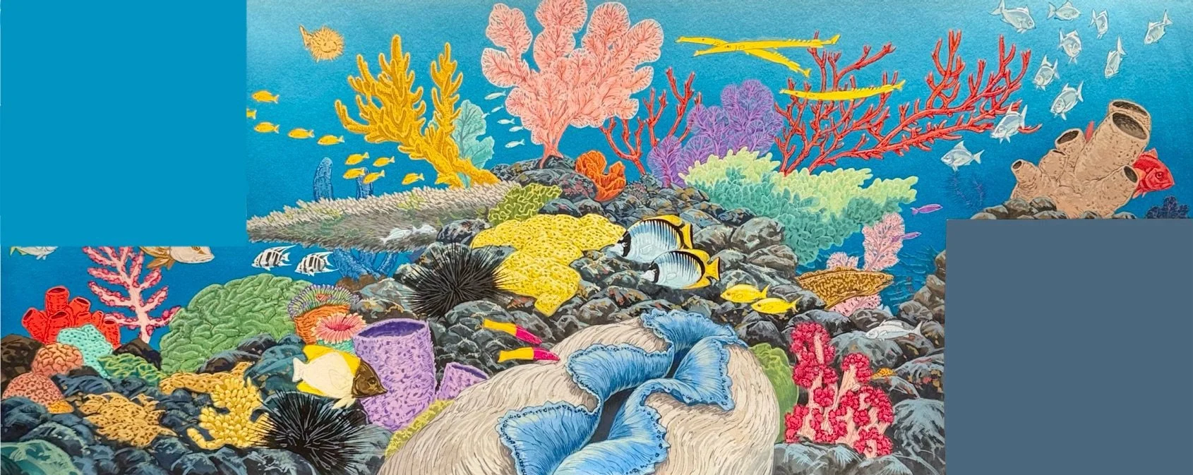 wet-world-coral-reef-j-needham-squares.jpg