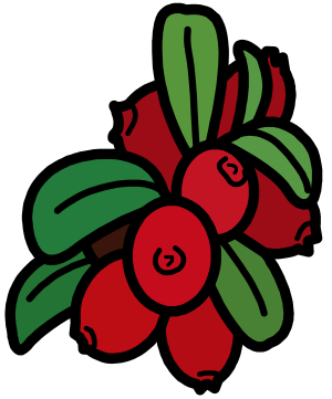 Friluftsdag (kan ändras beroende på väder).