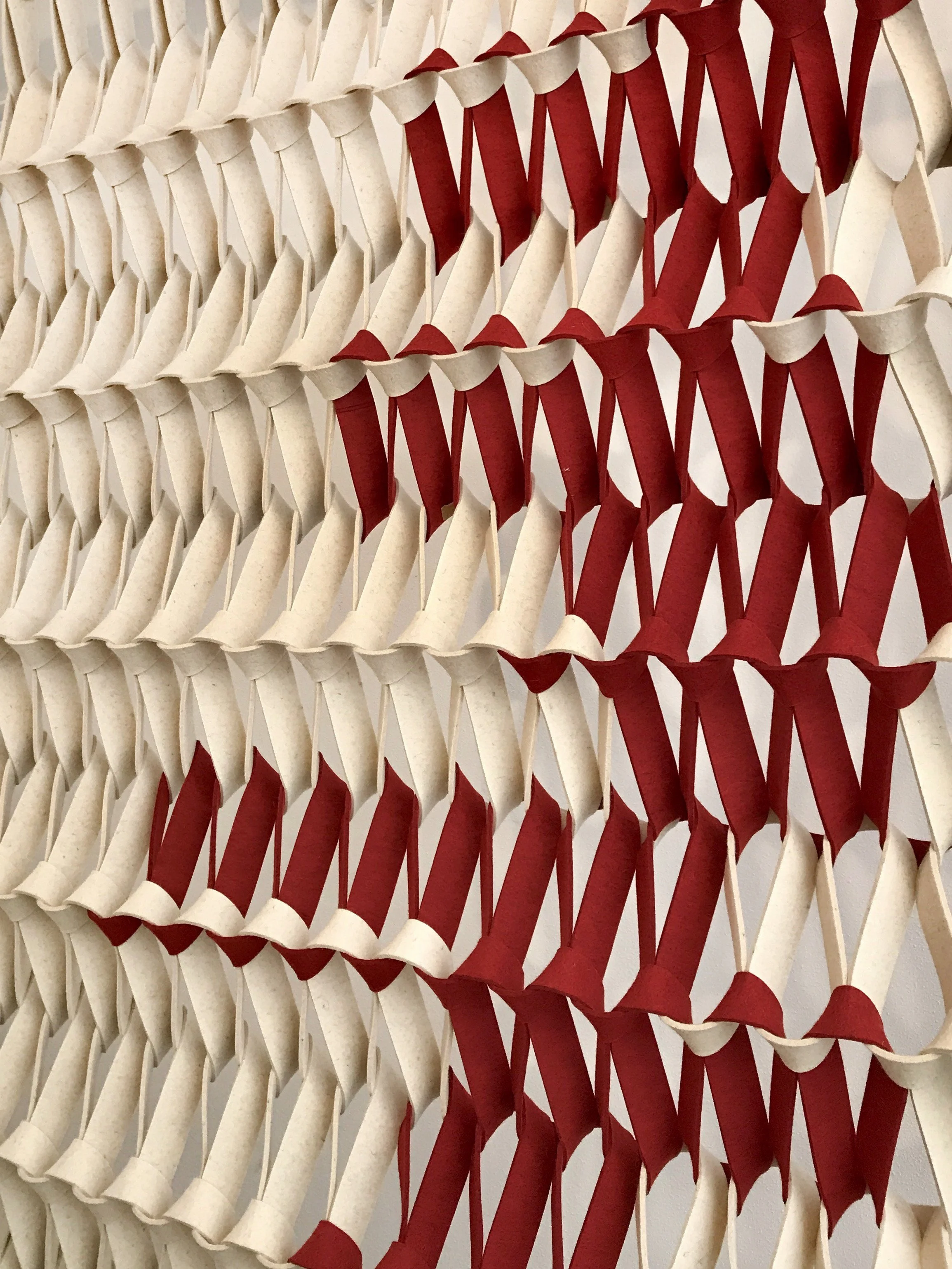 PLECTERE duotone red kopie.jpg