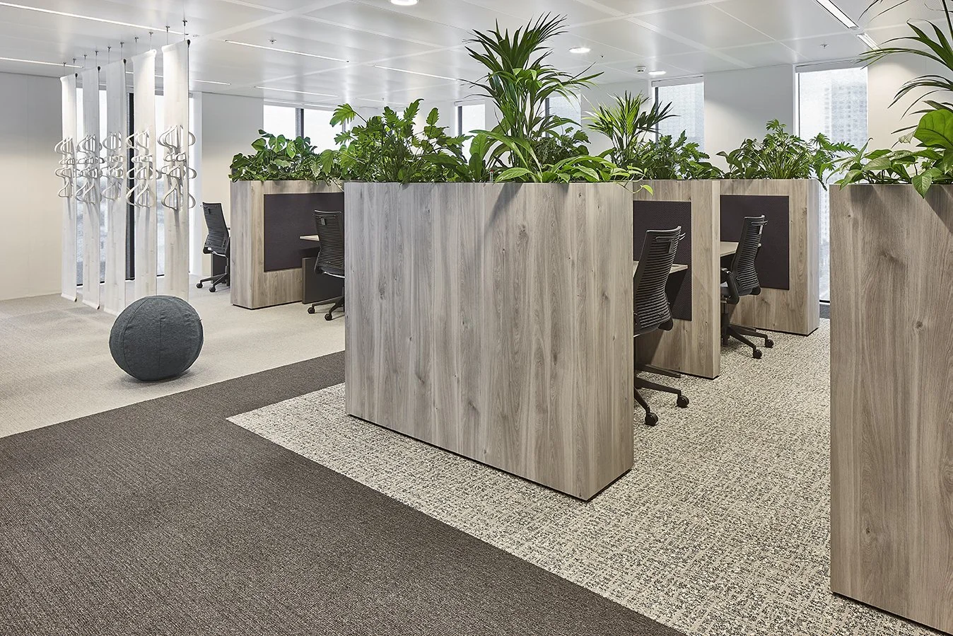 Plectere at BDO Rotterdam 7.jpg