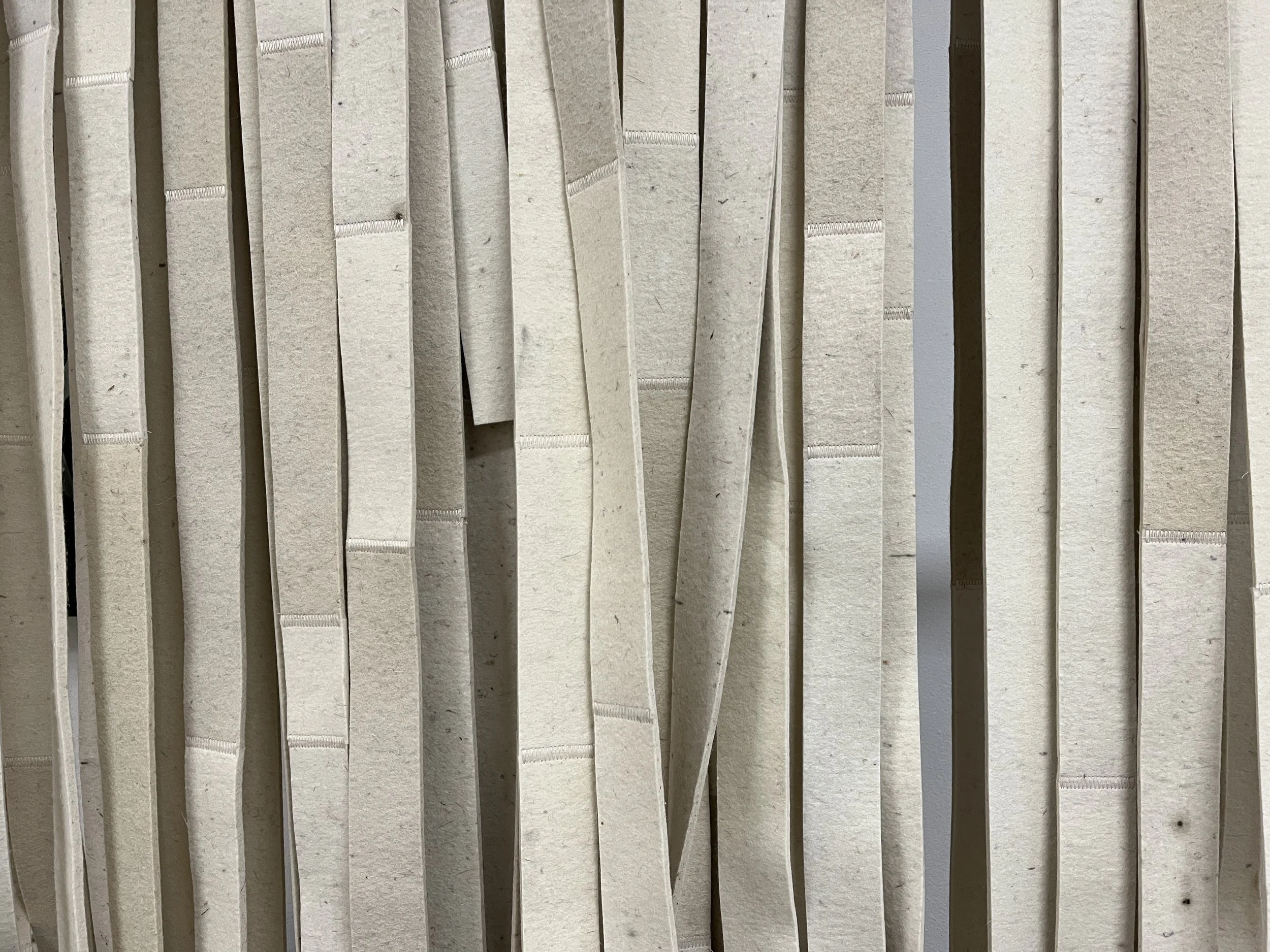 Plectere leftover strips2.JPG