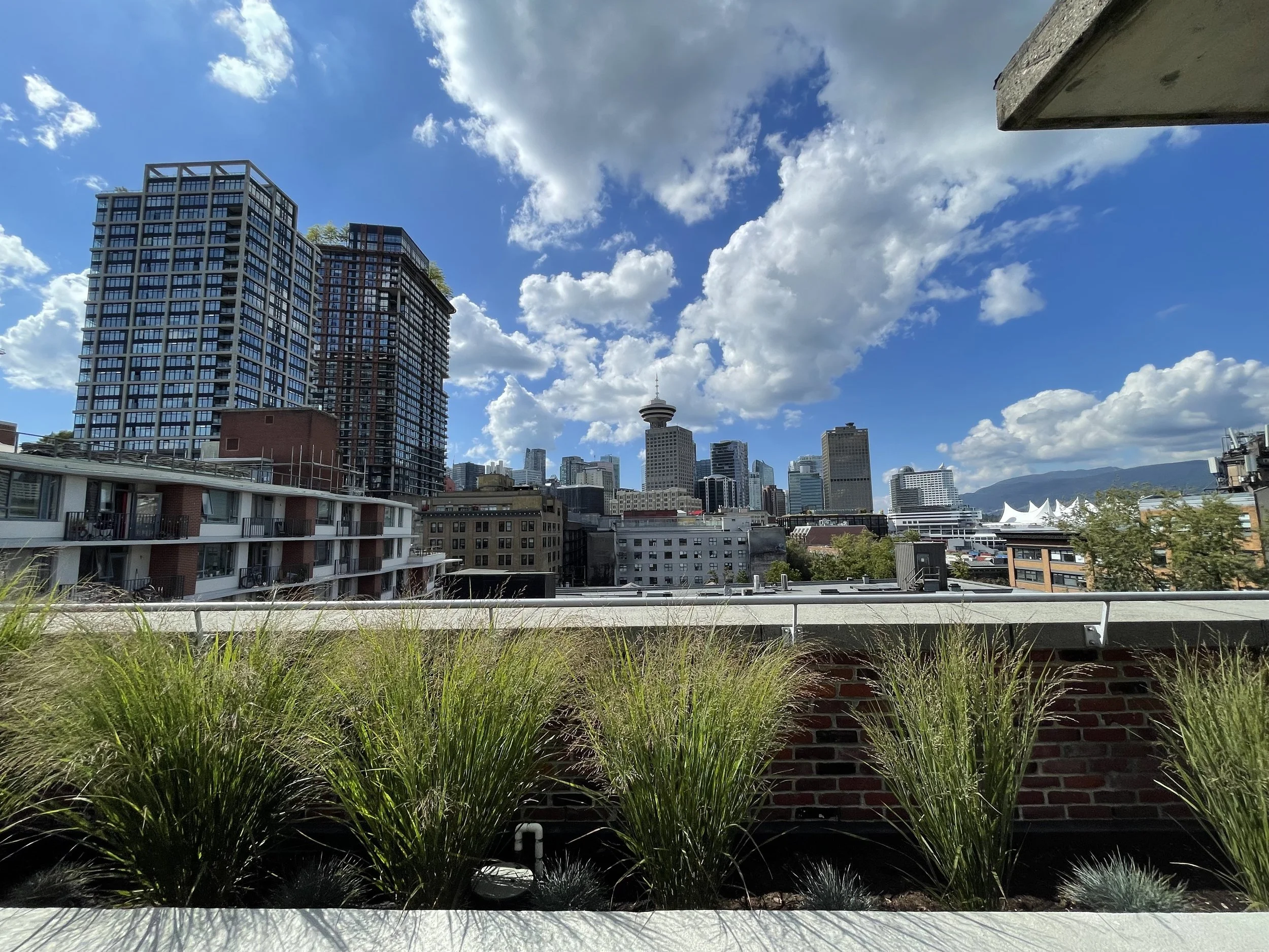 Shared rooftop patio with skyline views