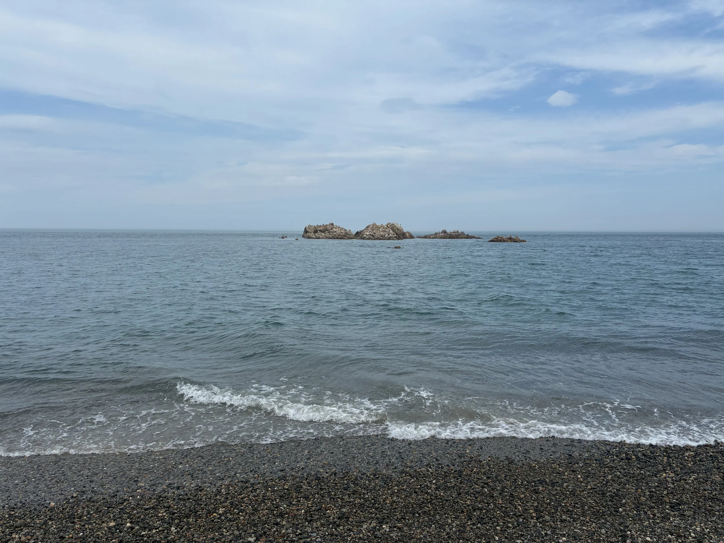 IMG_3639.JPG