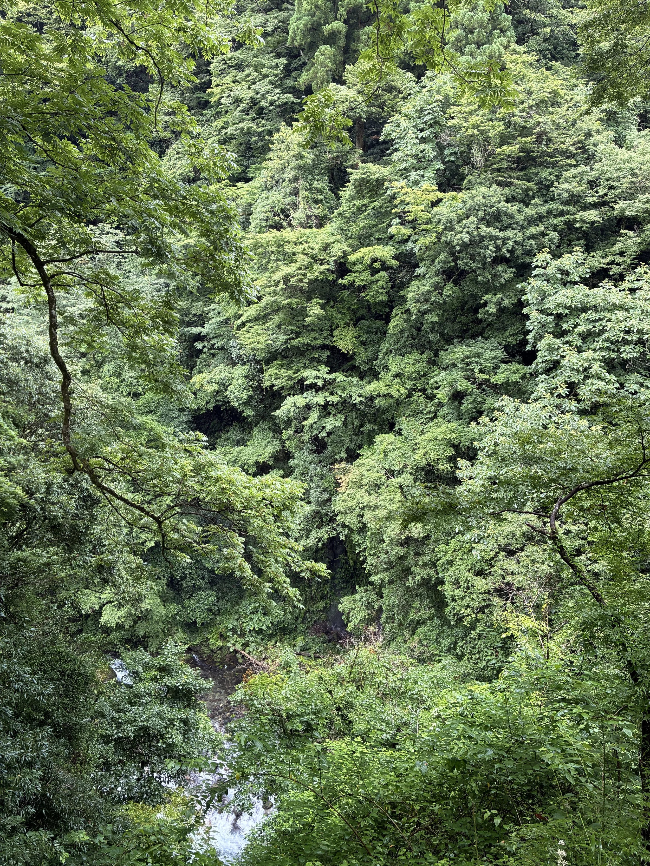 Ama-no-Iwato Shrine