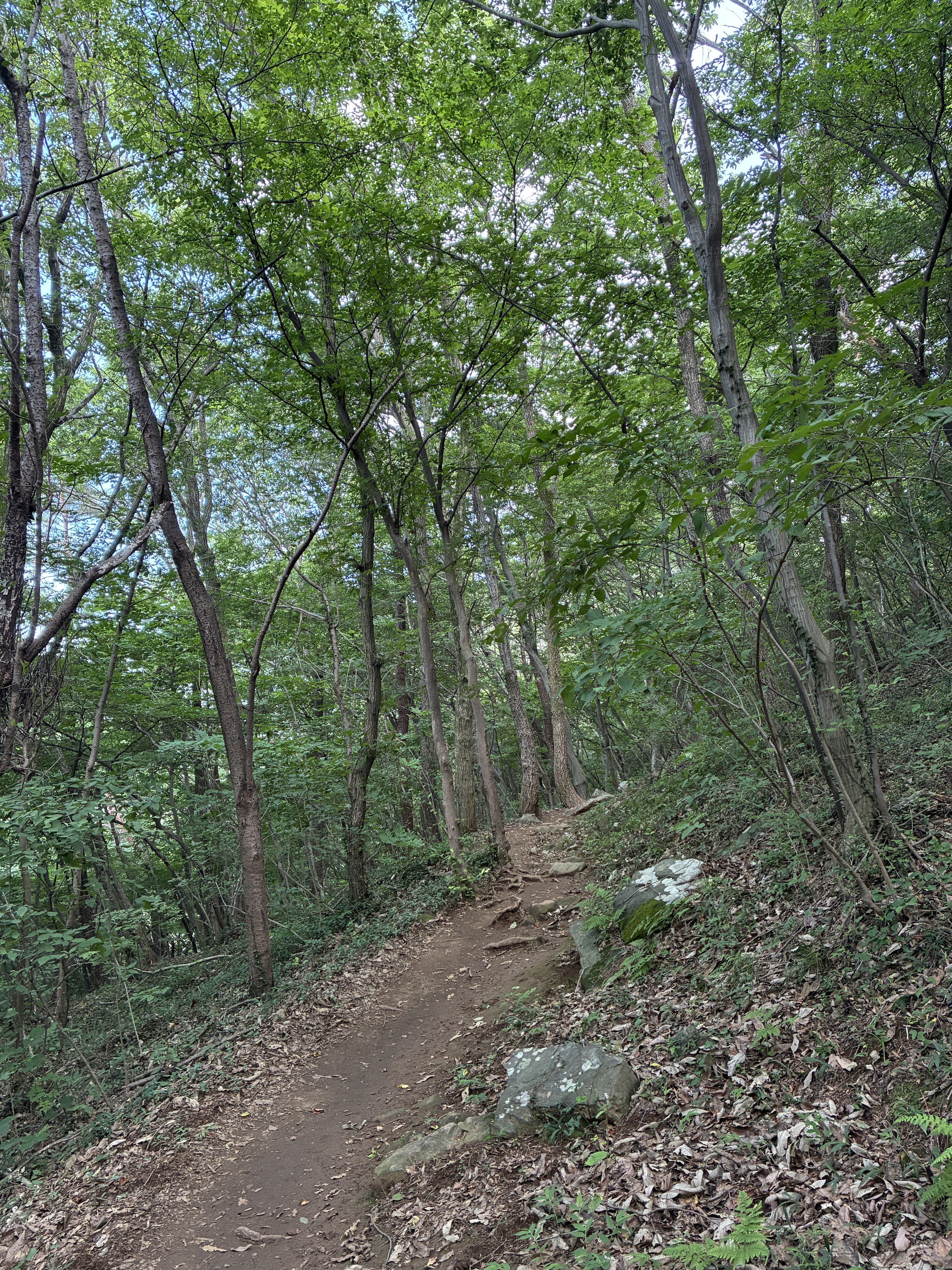 IMG_3524.JPG