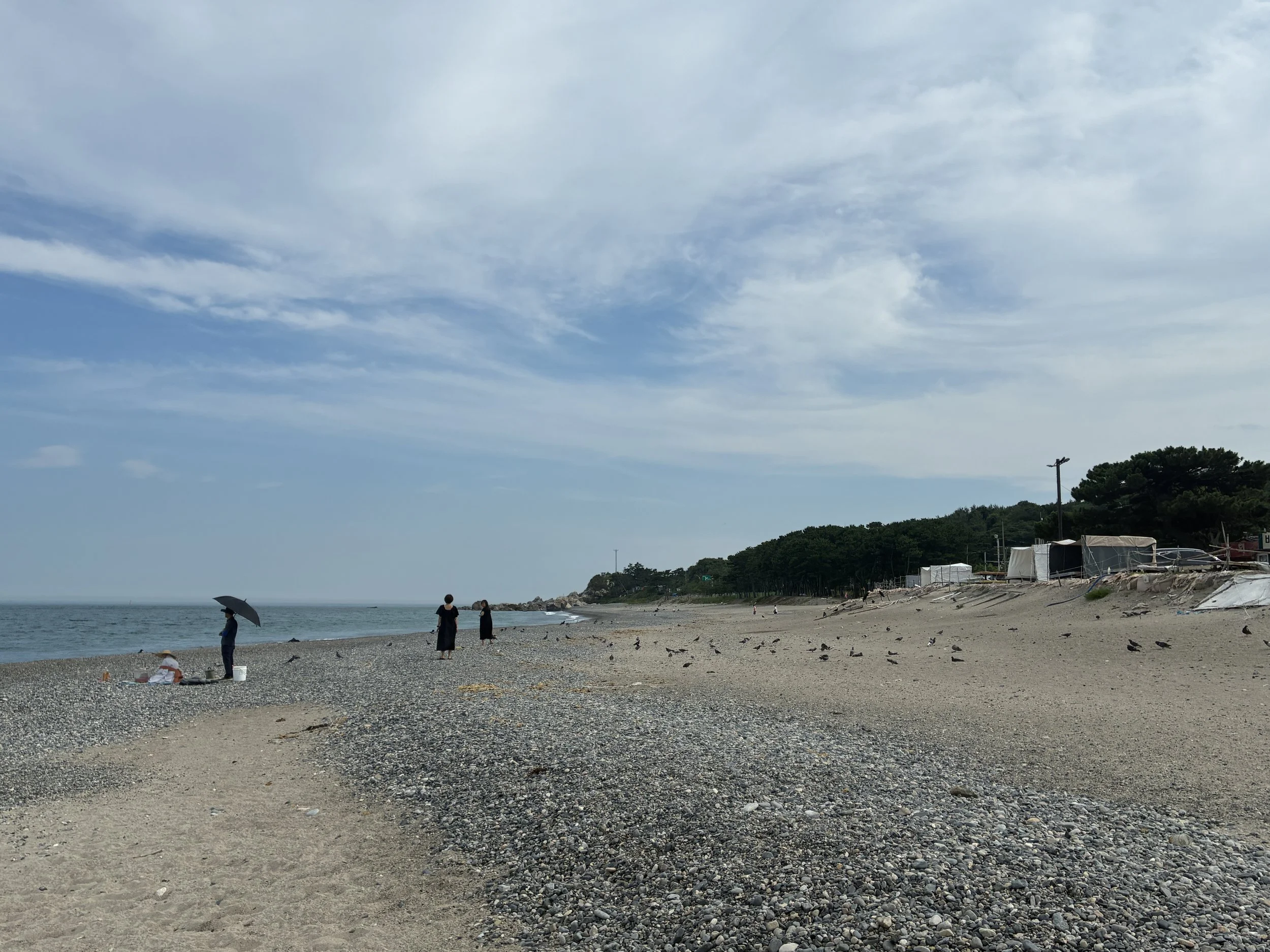 IMG_3641.JPG