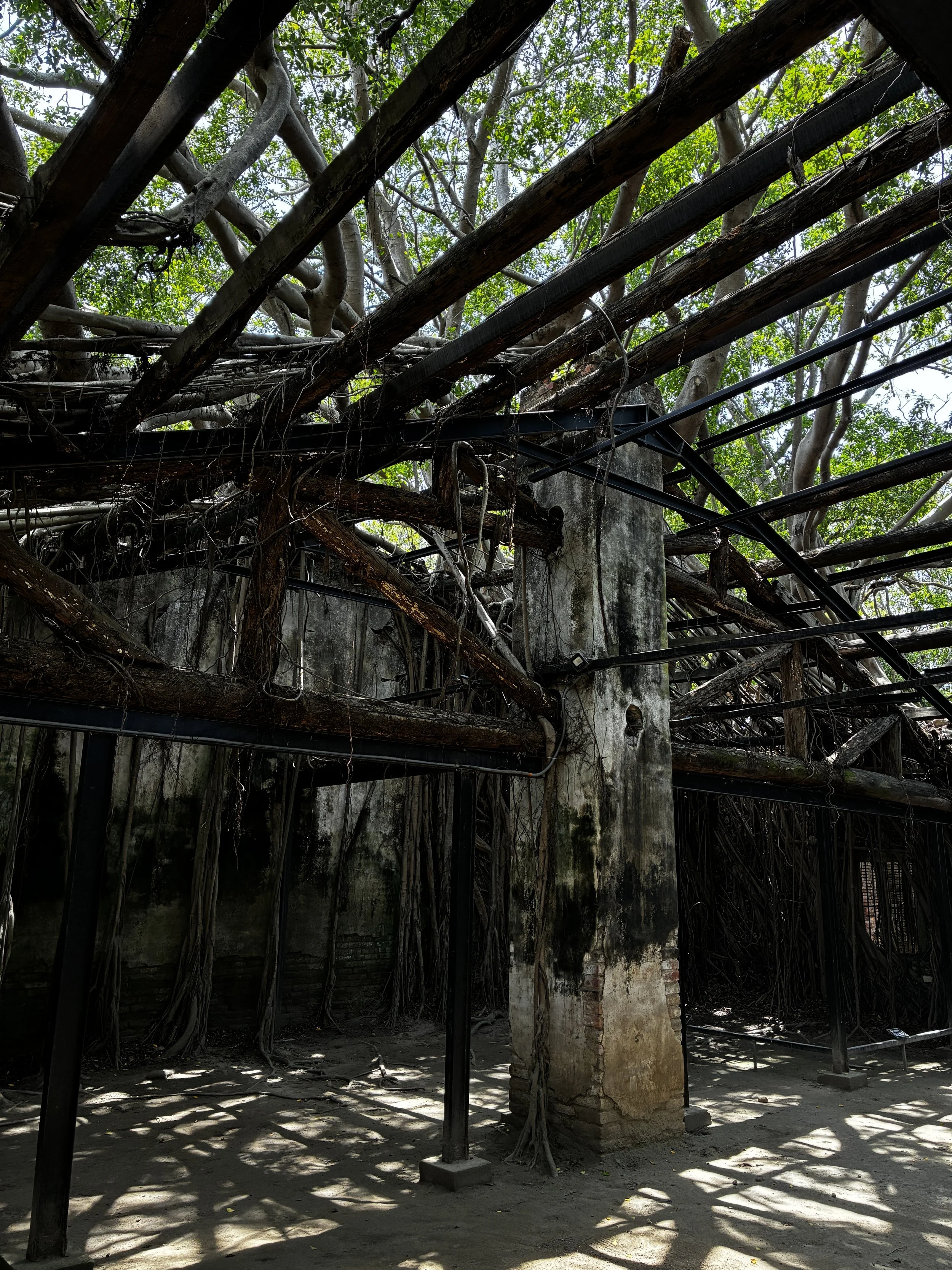 Anping Tree House
