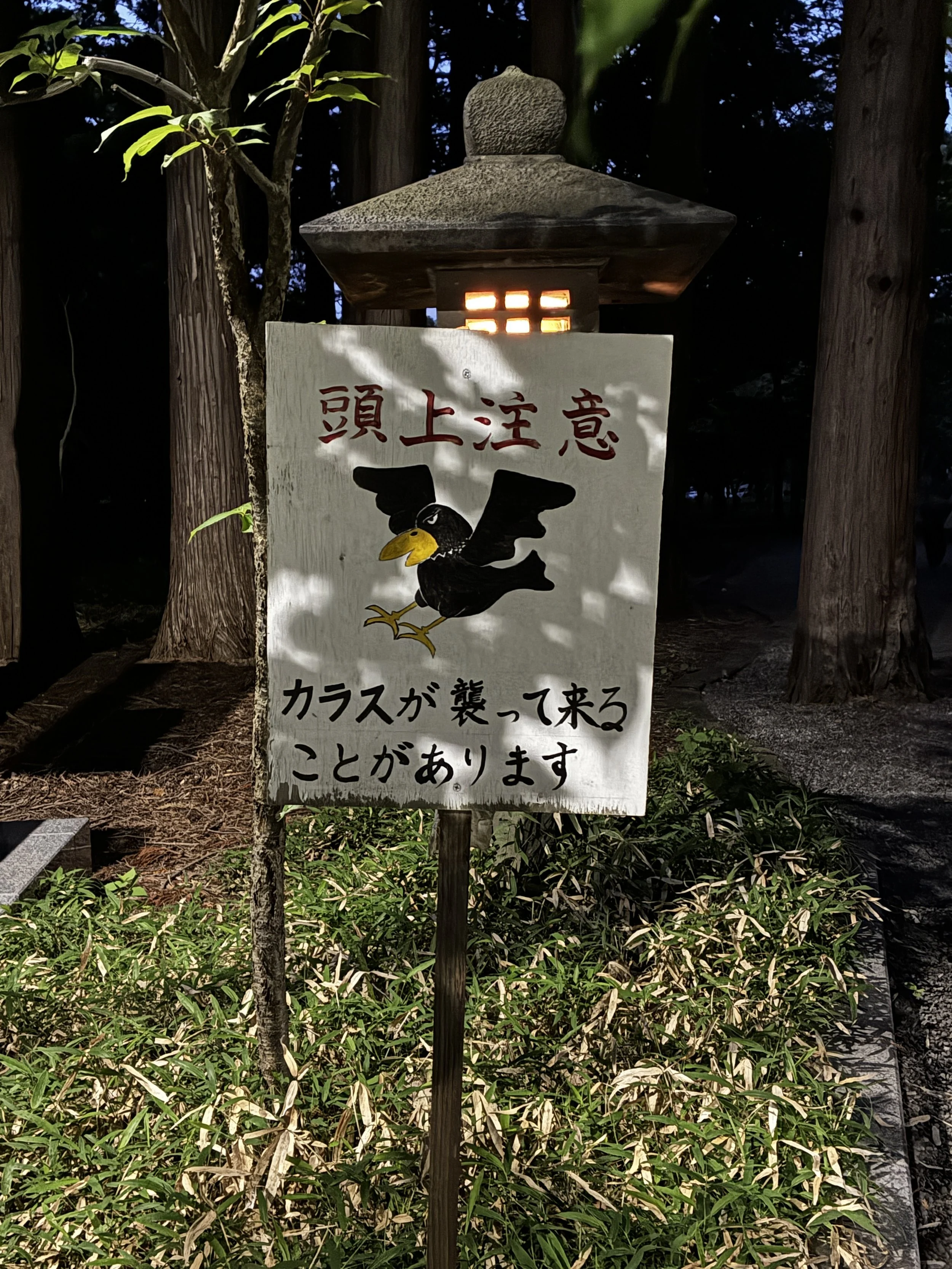 IMG_2746.JPG