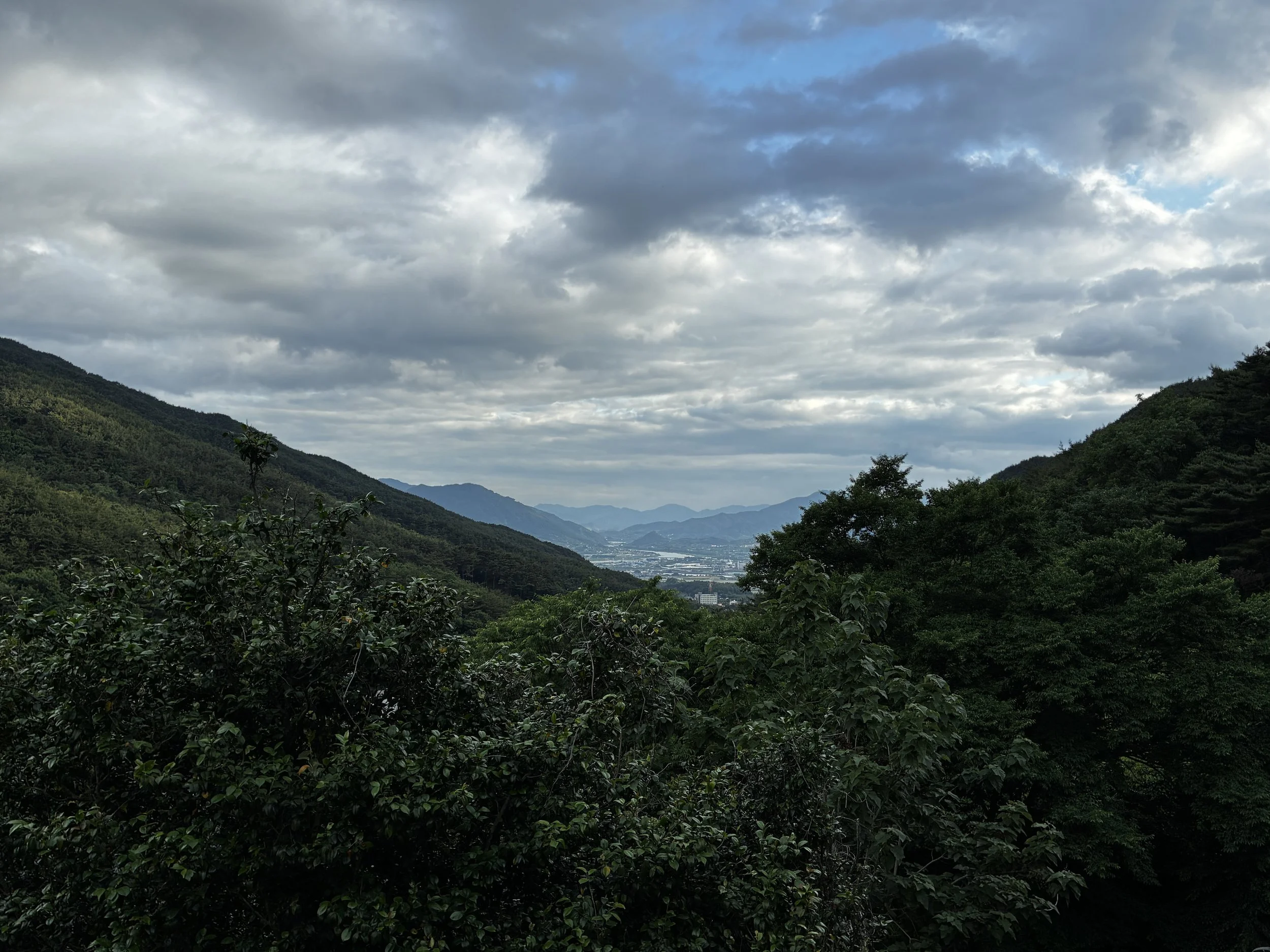 IMG_2307.JPG