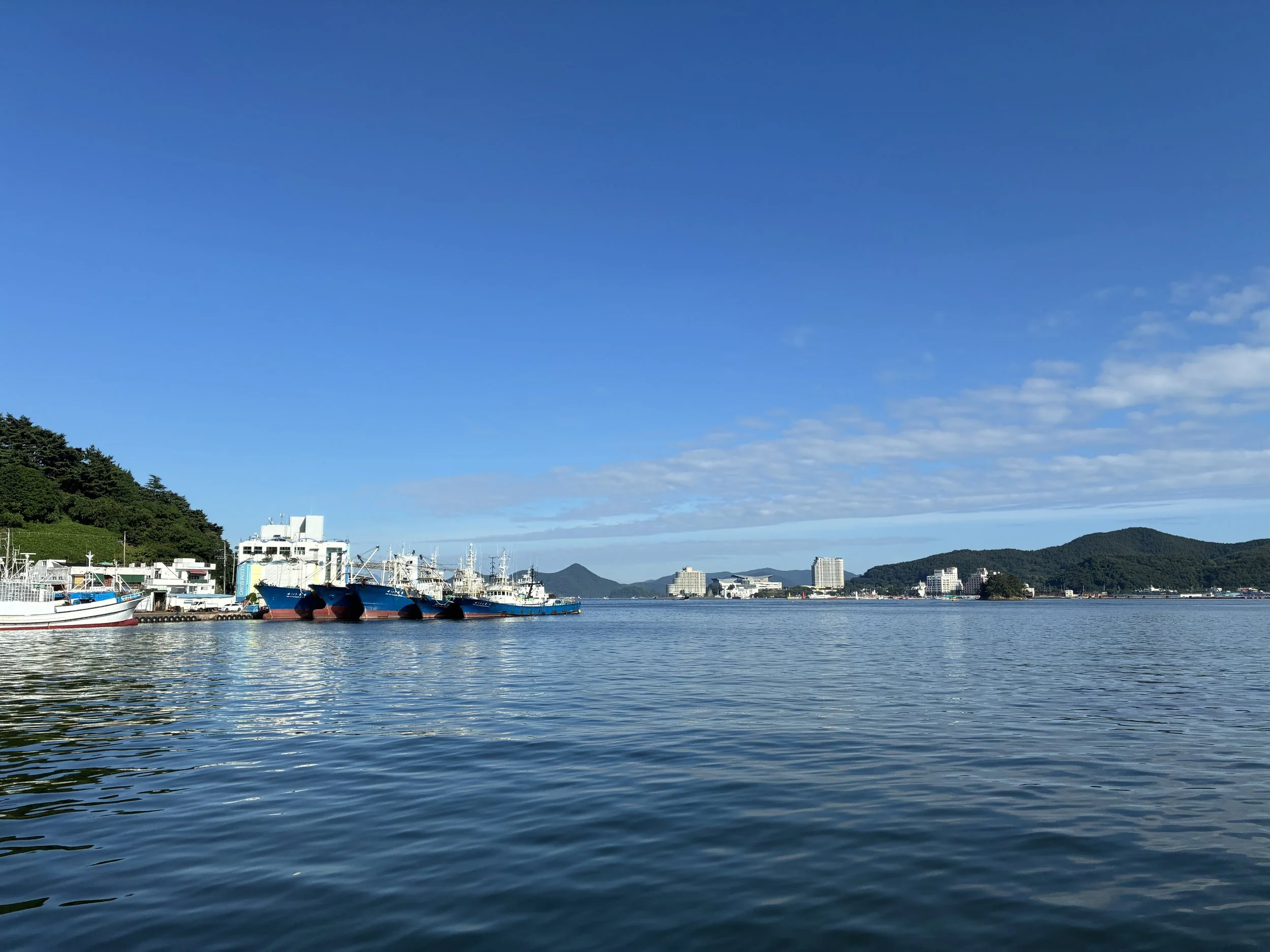 IMG_3446.JPG