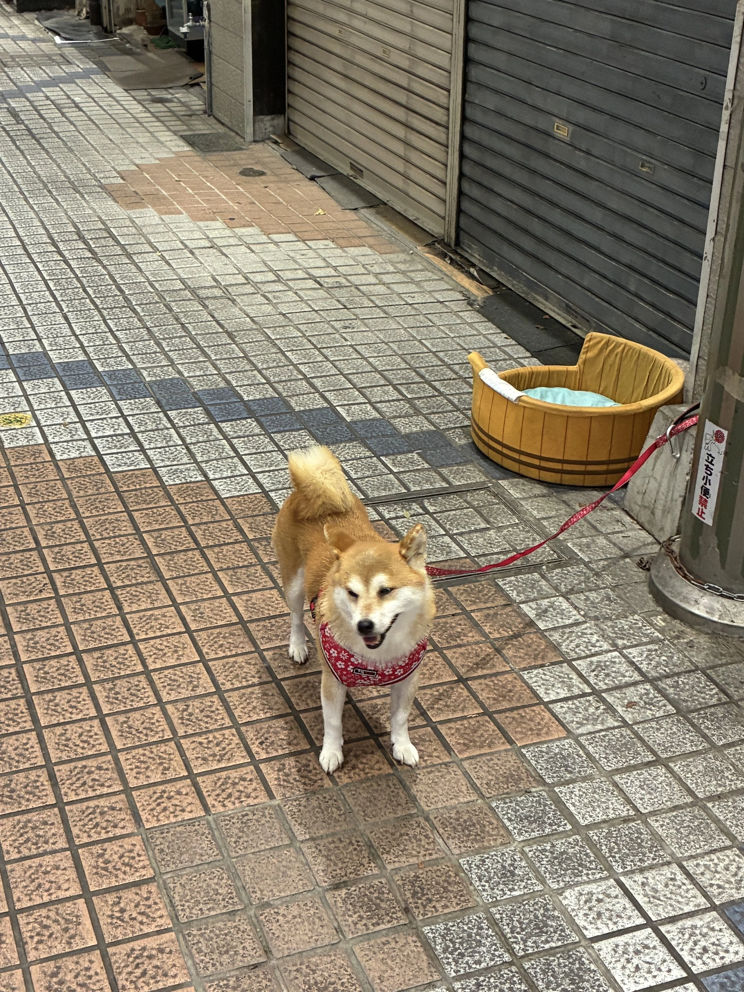 IMG_3342_modified.jpeg