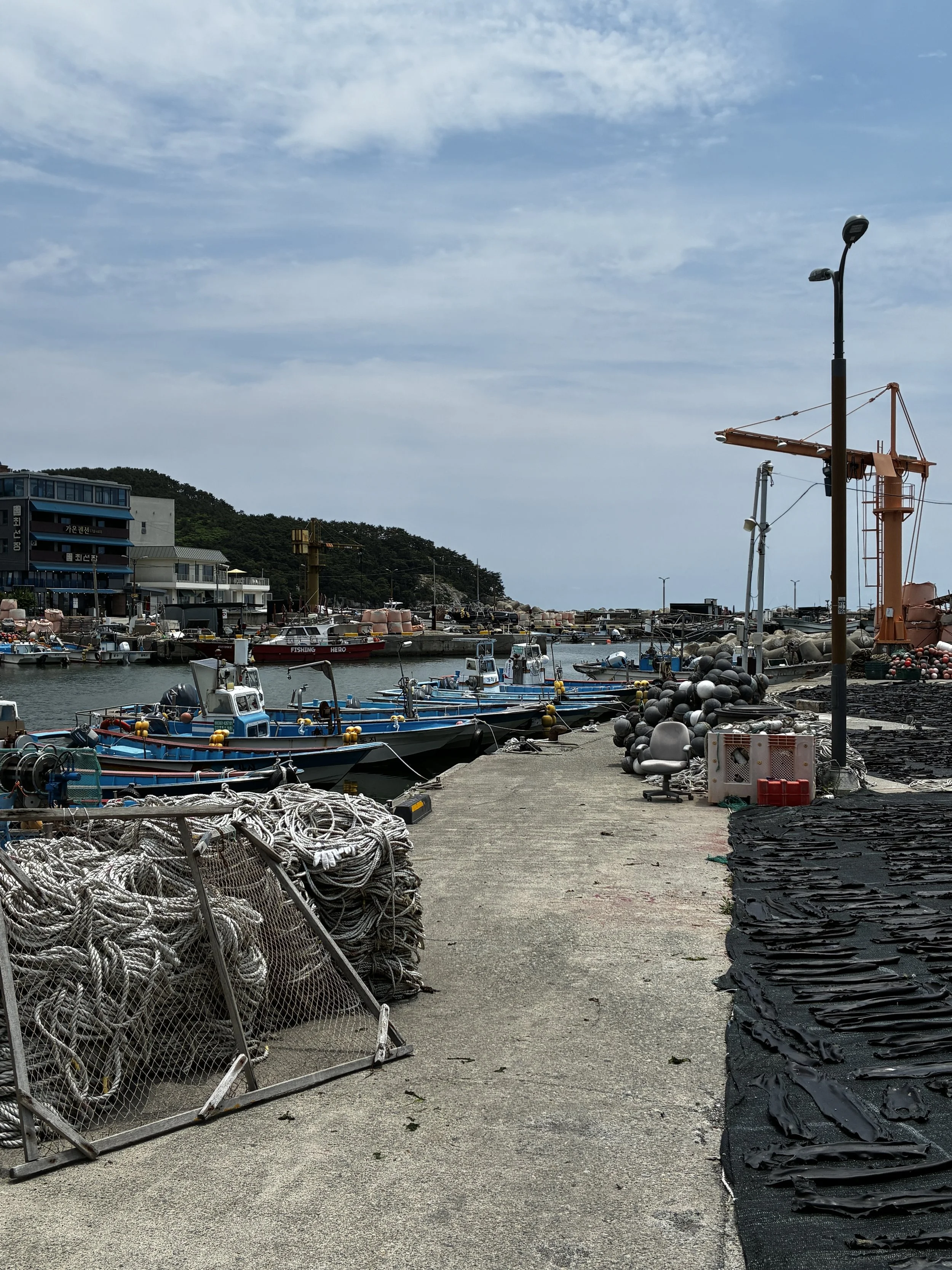 IMG_2462.JPG