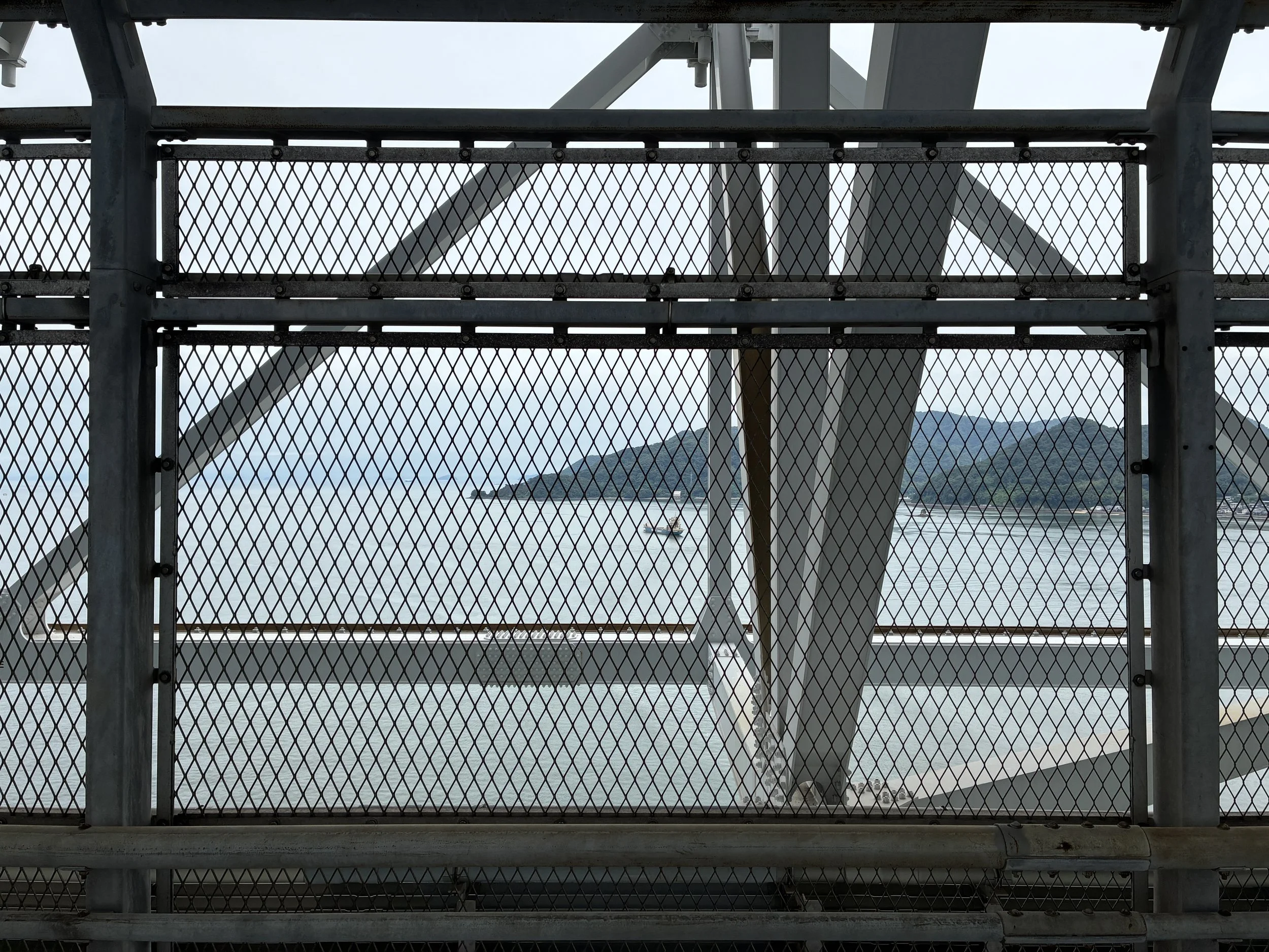 IMG_3118.JPG