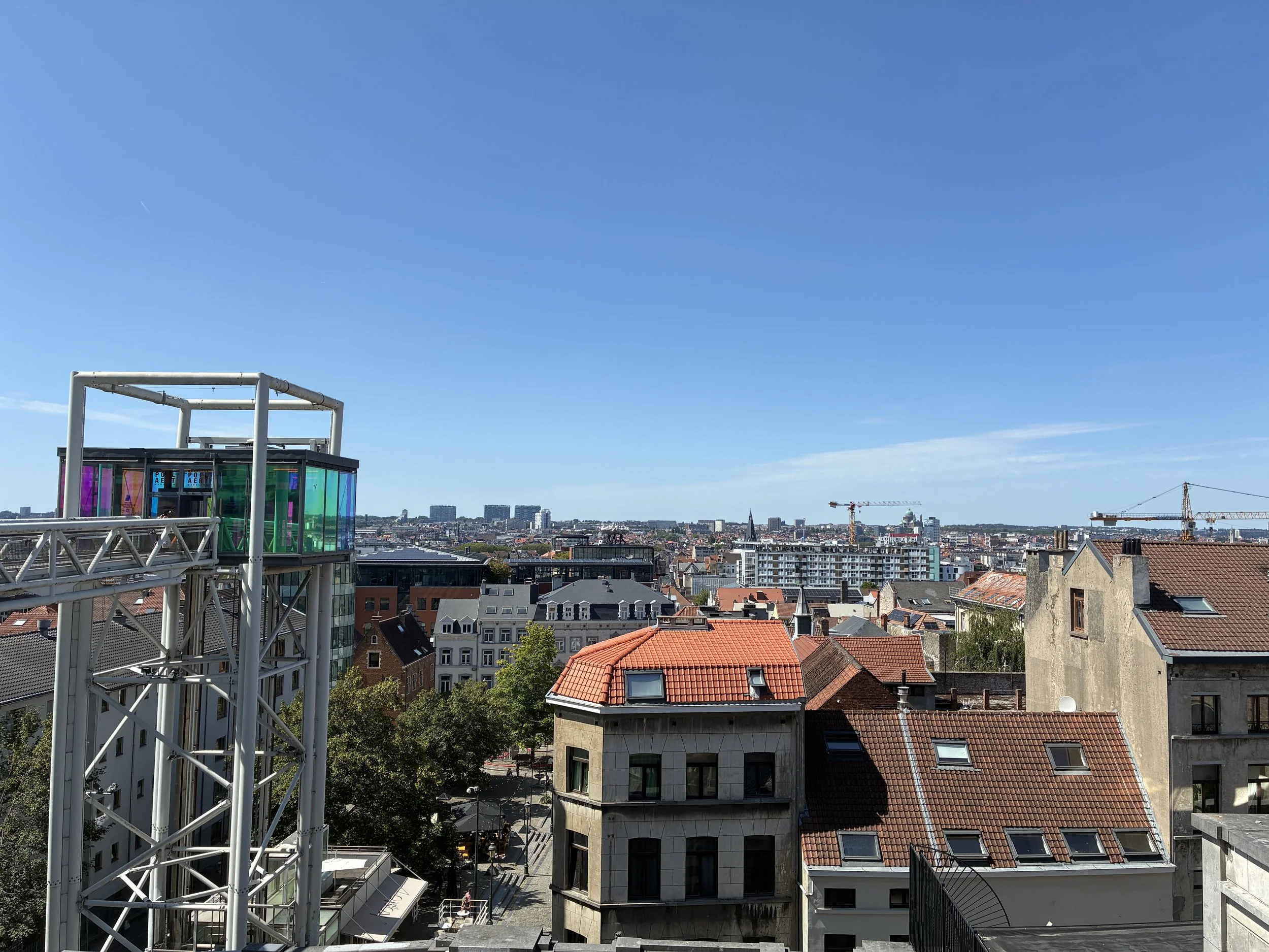 IMG_3937.JPG