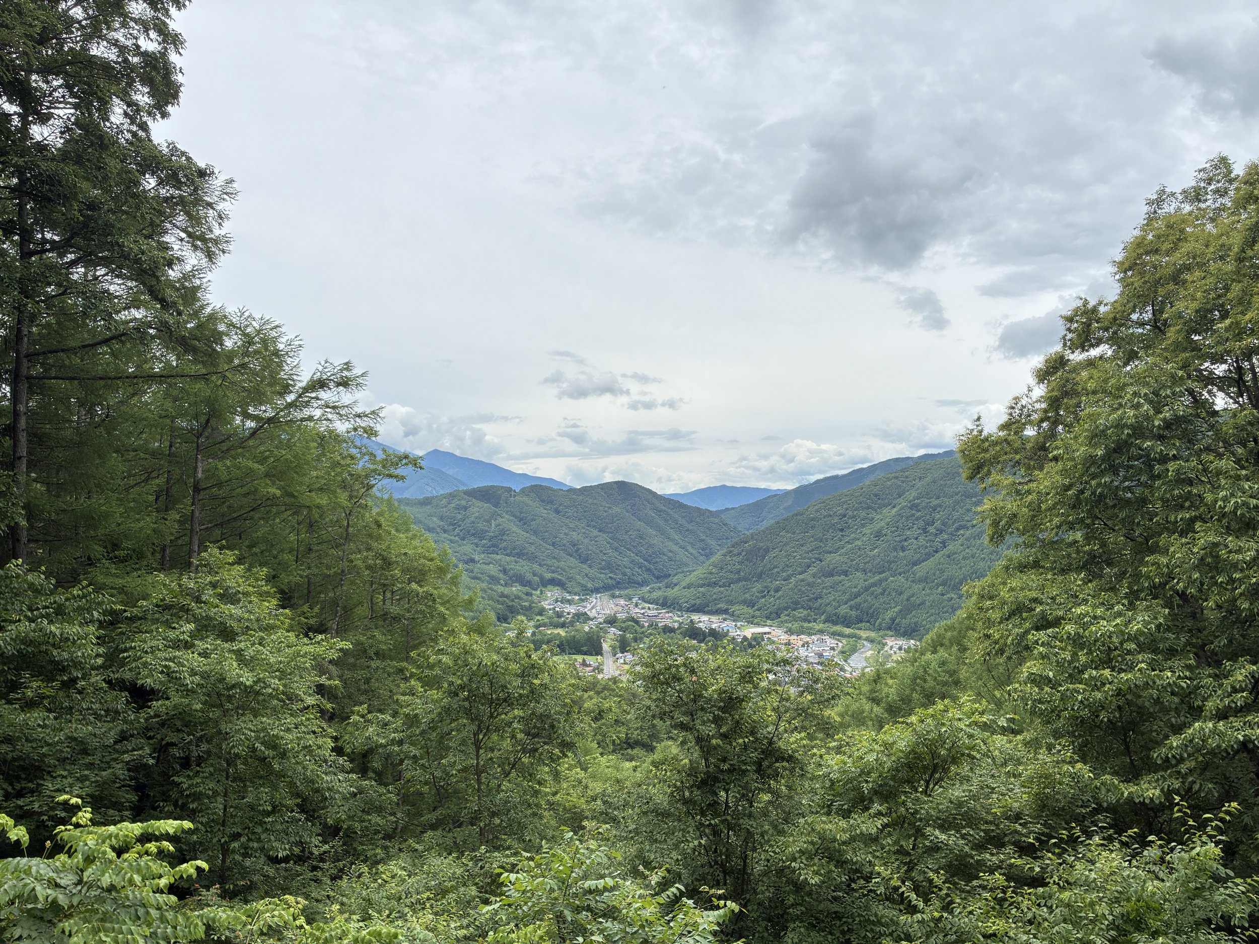 IMG_2947.JPG