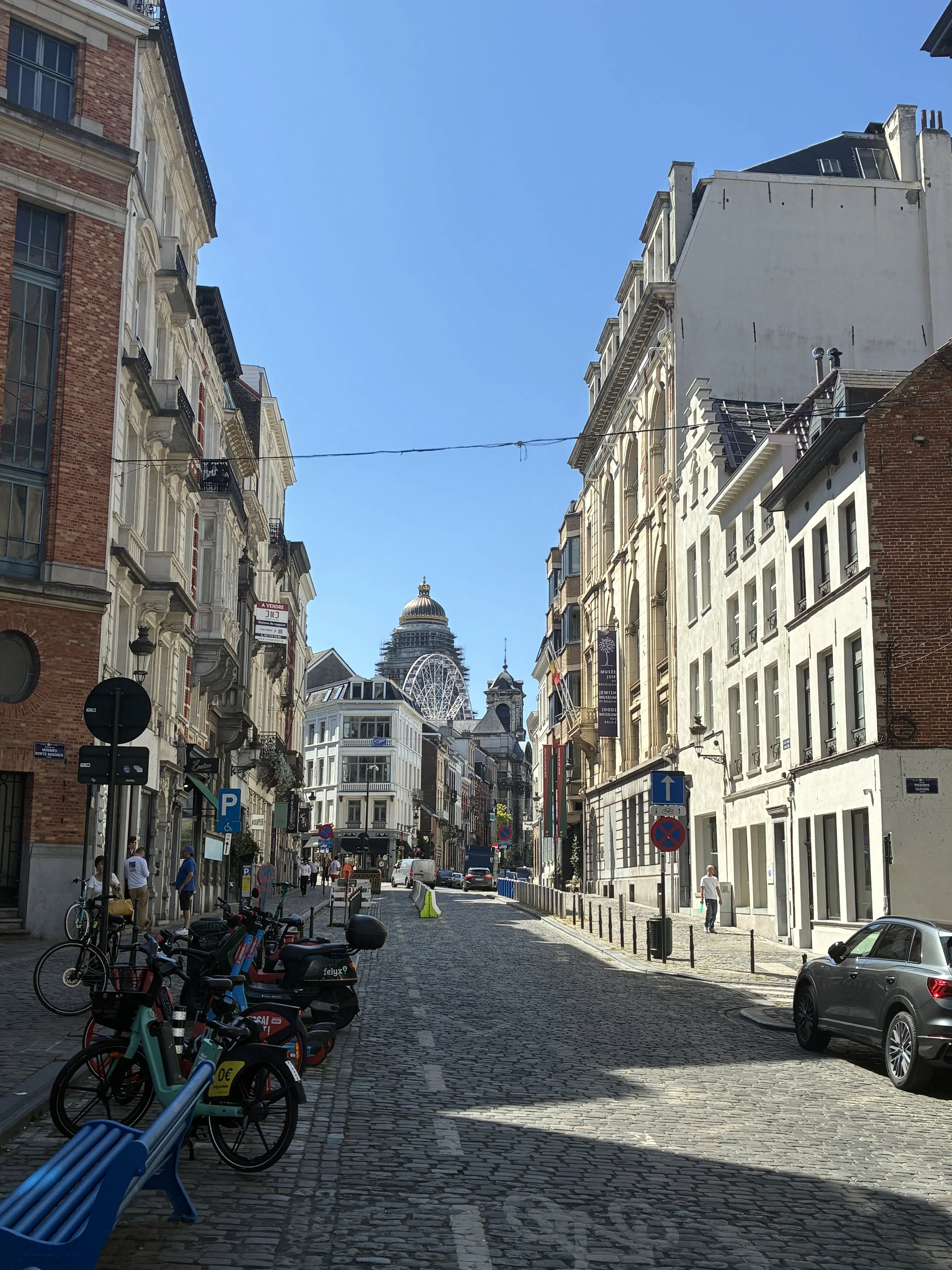 IMG_3934.JPG