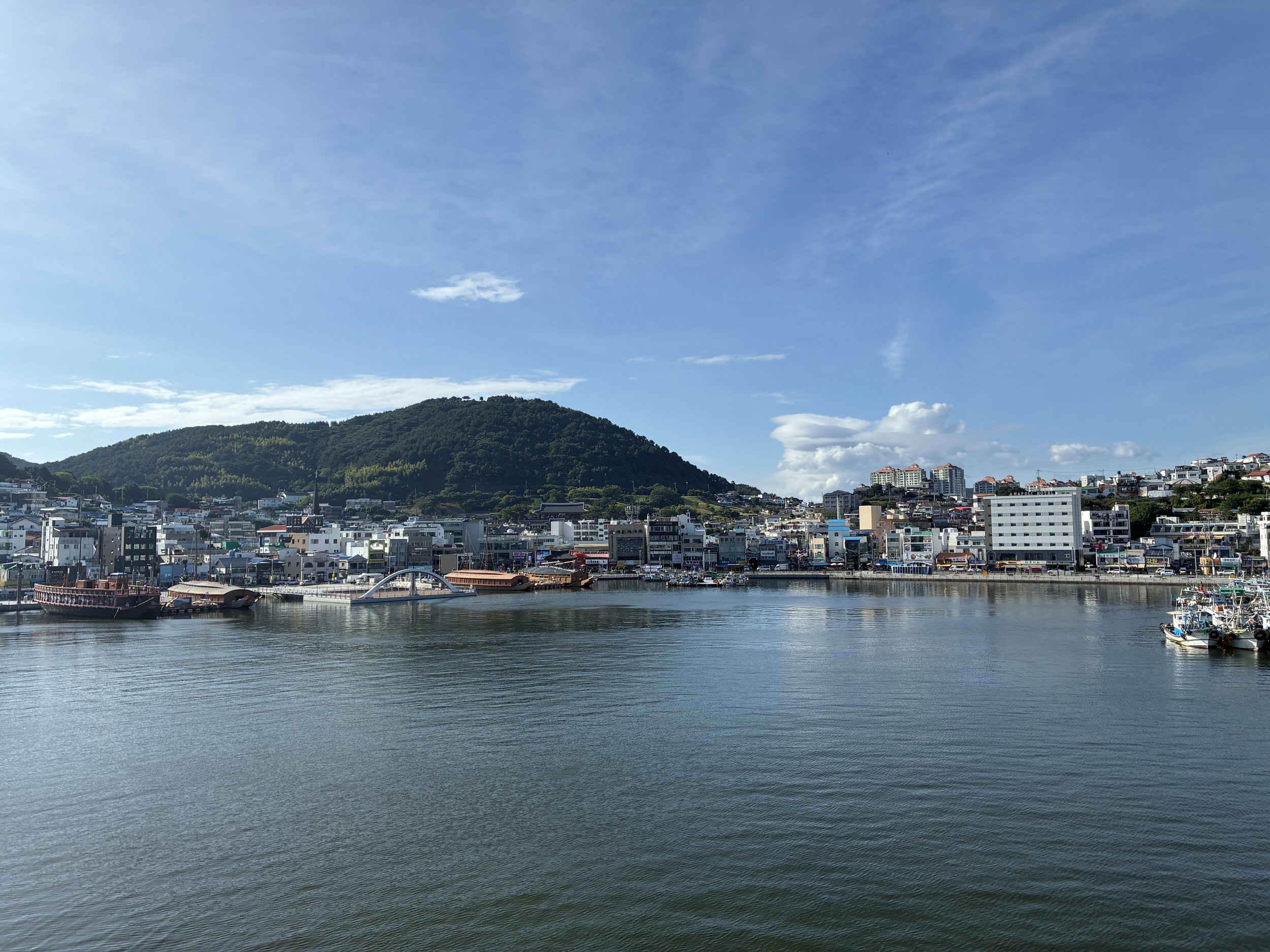 IMG_3447.JPG