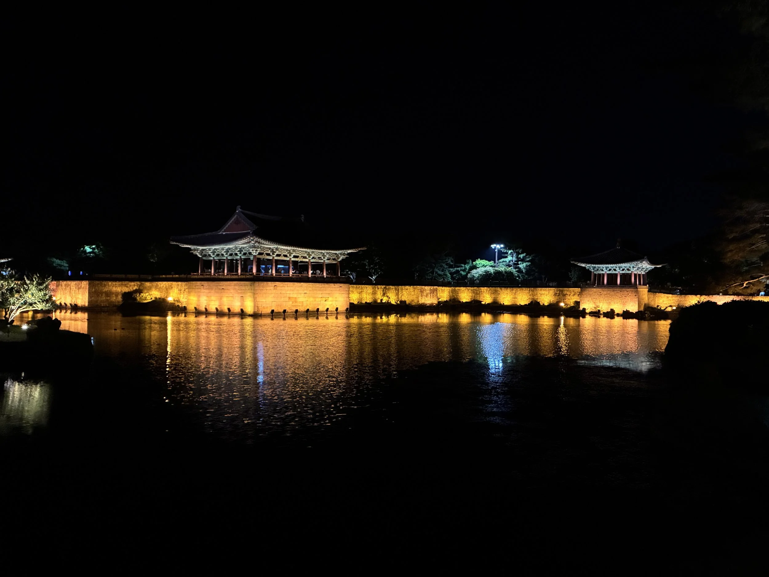 IMG_3559.JPG