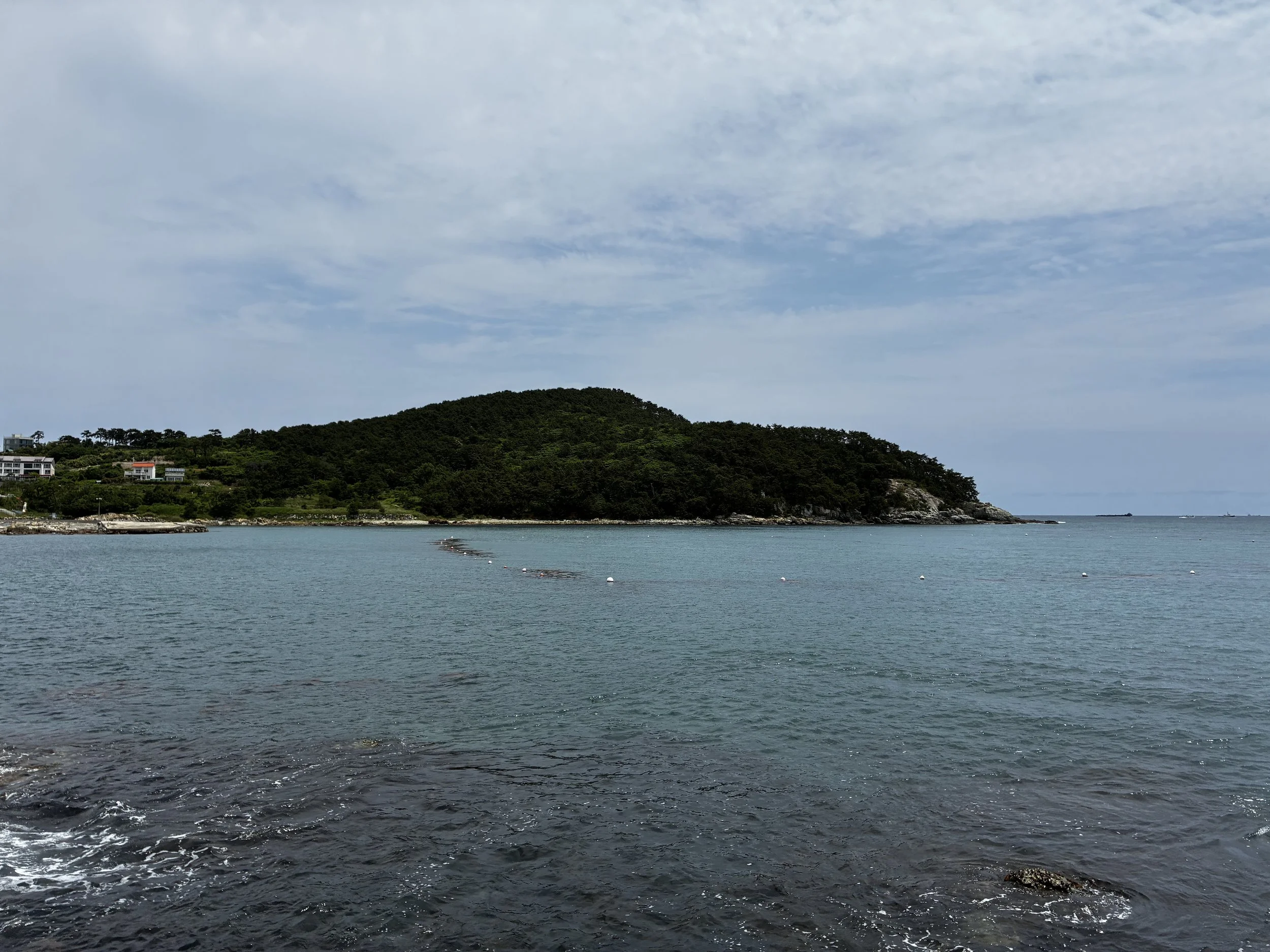 IMG_2465.JPG