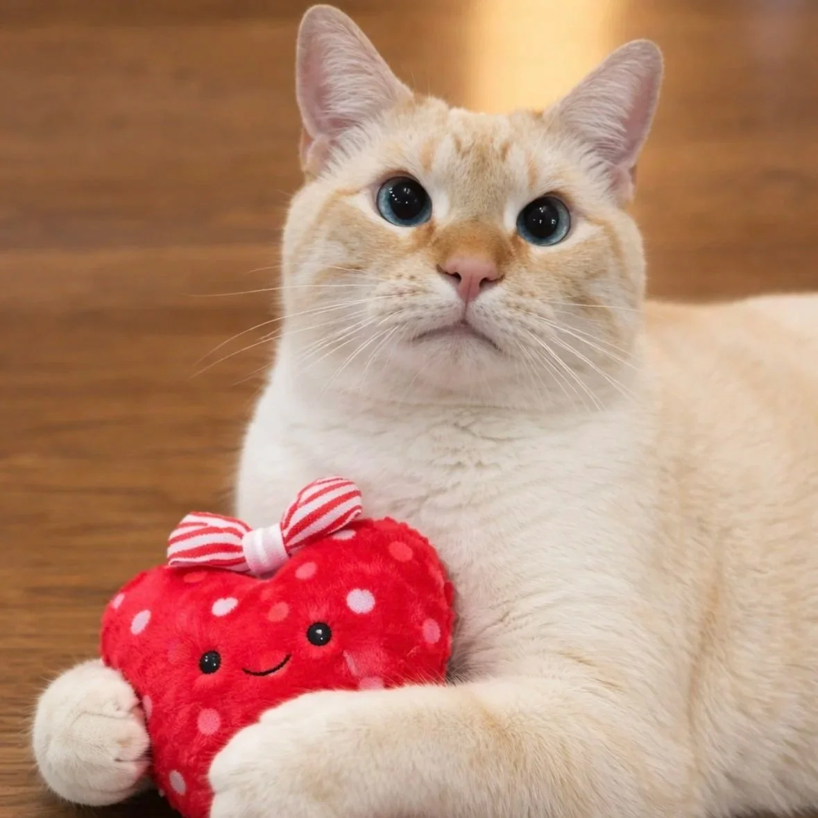 A cream-colored cat with blue eyes is lying down, holding a plush strawberry-shaped toy decorated with a pink and white striped bow.