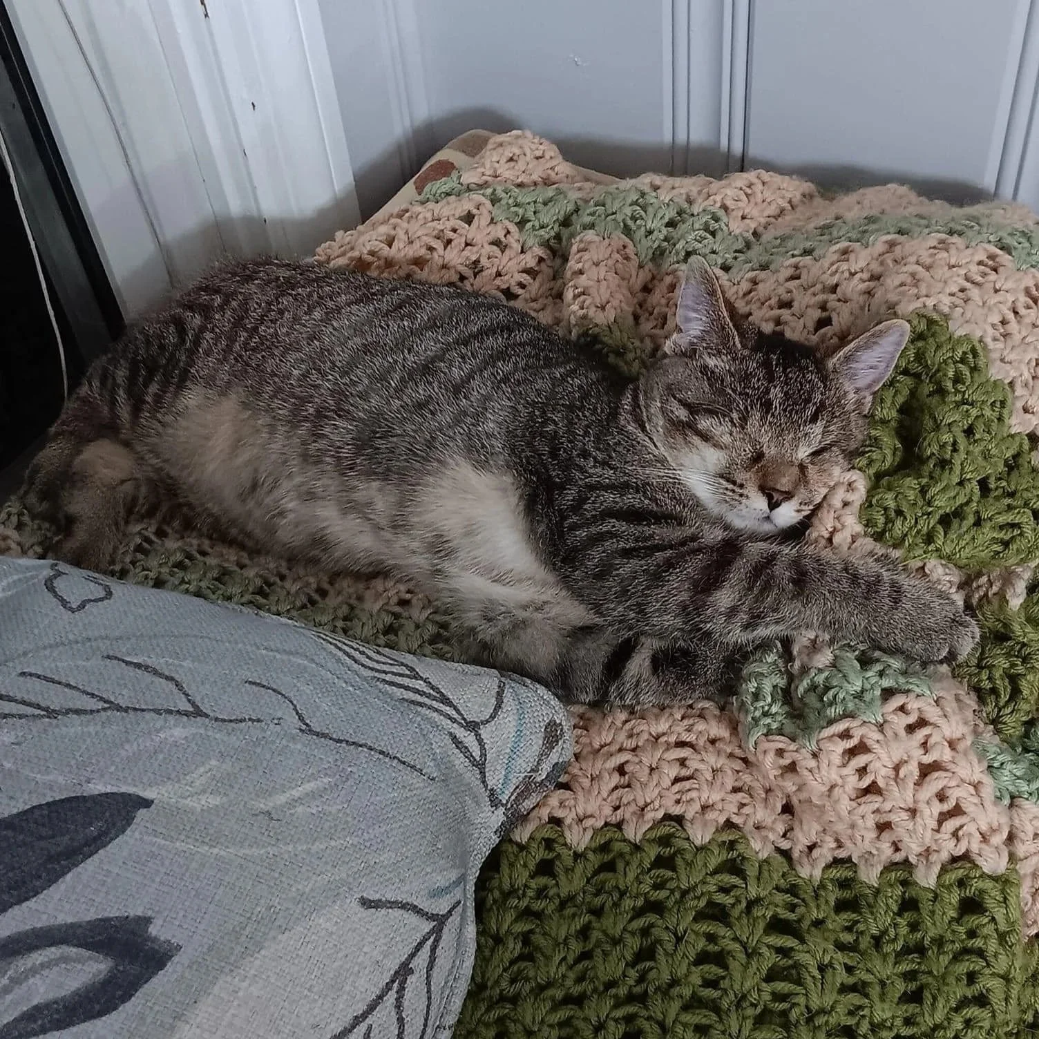 A gray tabby cat lying on a chunky knit blanket with green, pink, and beige colors, eyes closed, appearing to be sleeping.