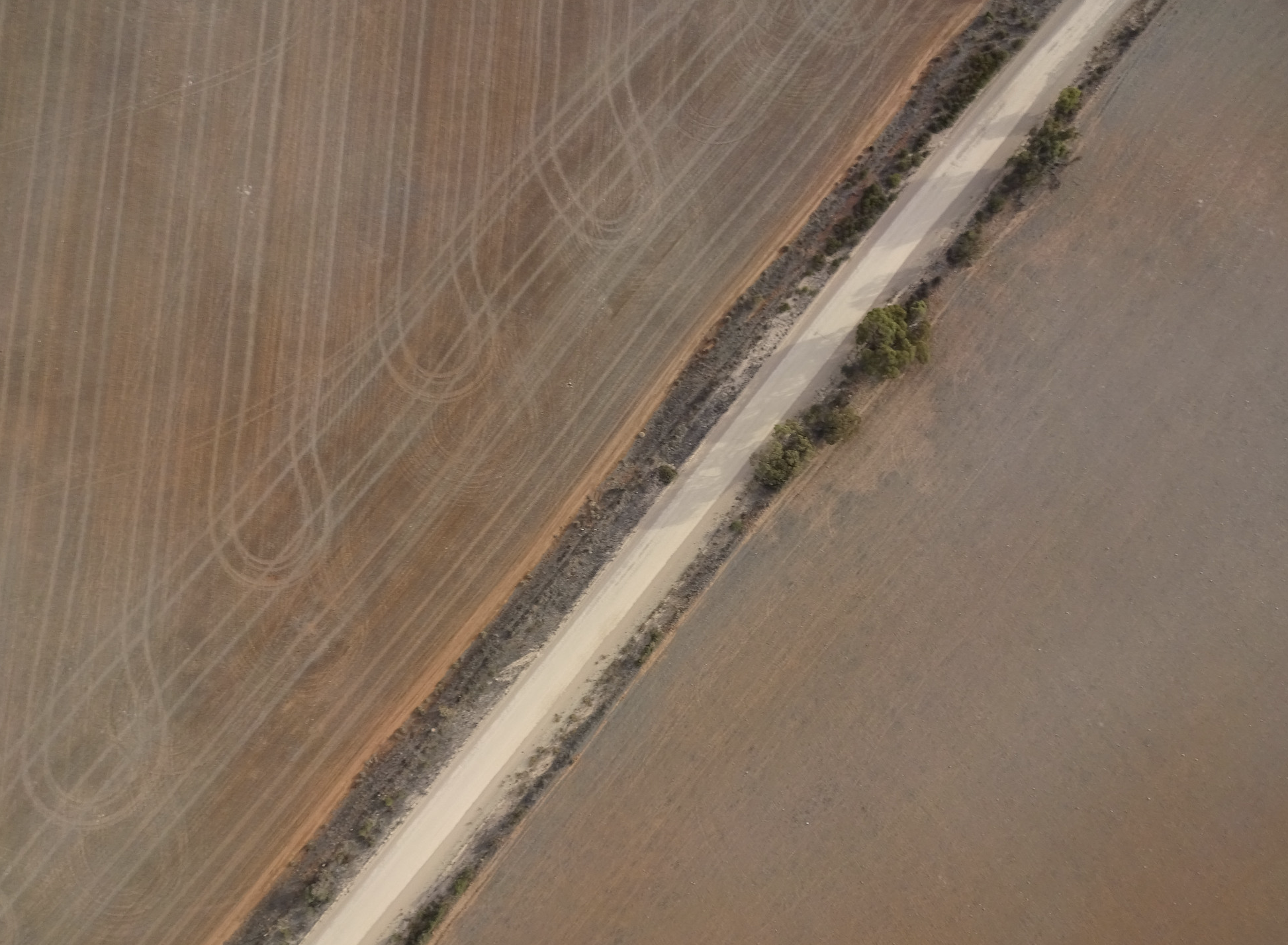 Revera Energy Robertstown Project image of an aerial view of a rural landscape with a dirt road running through fields and some scattered trees.