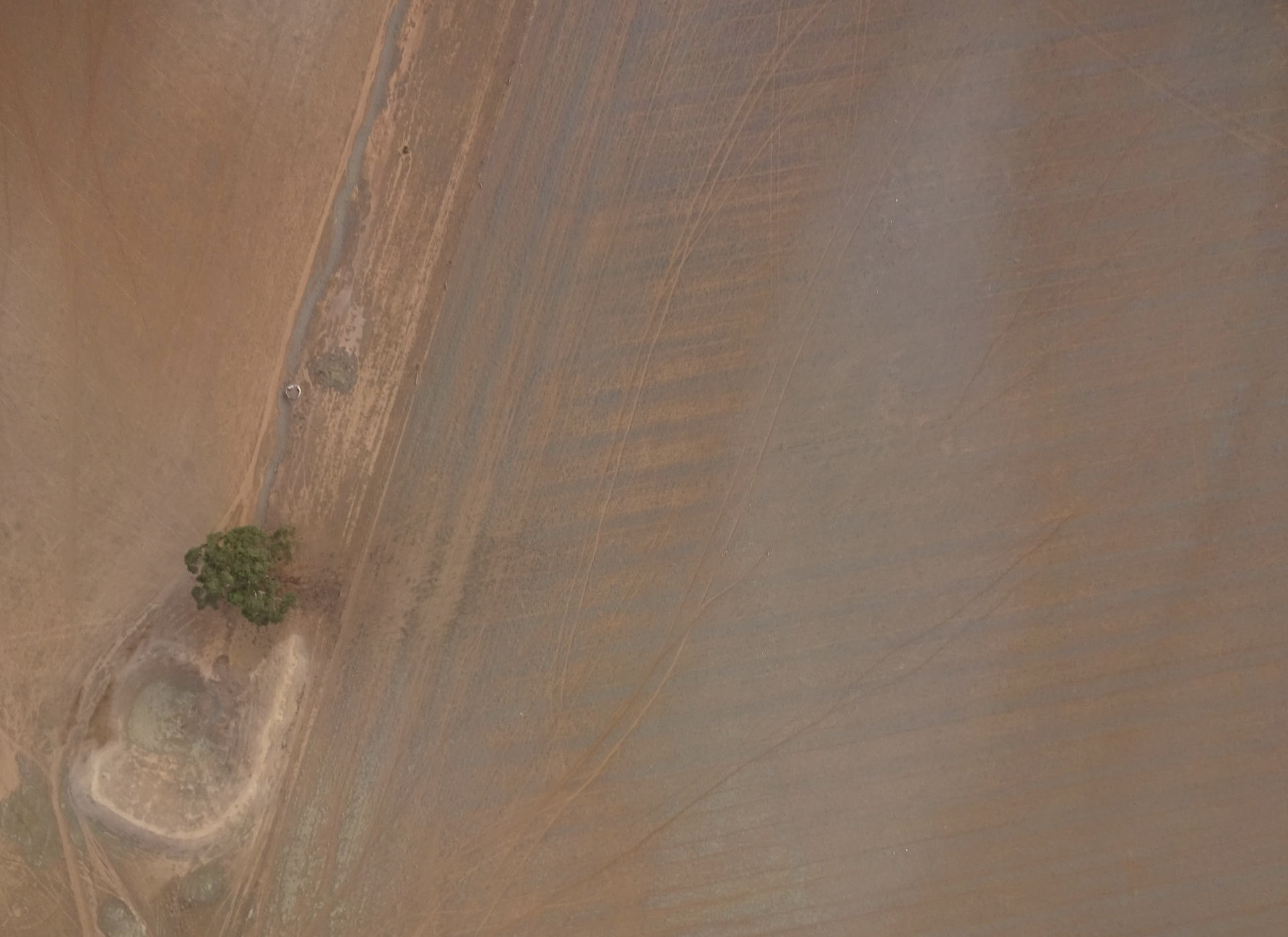 Revera Energy Robertstown Project image of an aerial view of dry farmland with a single tree near a circular water pond.