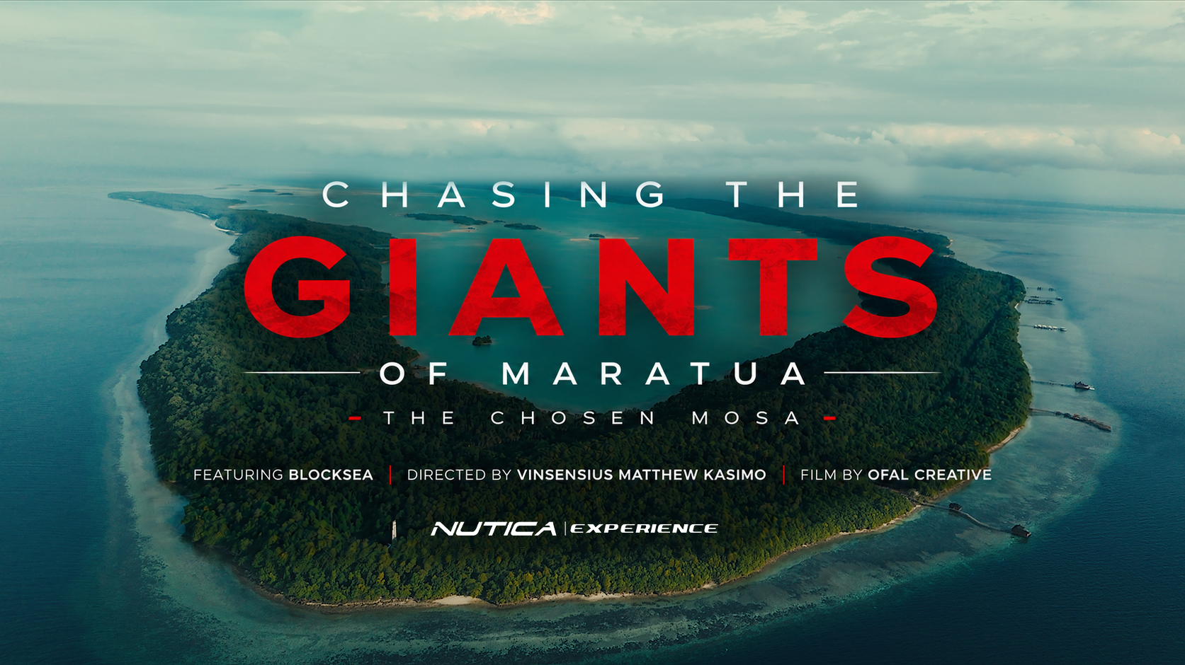 chasing the giants of  maratua