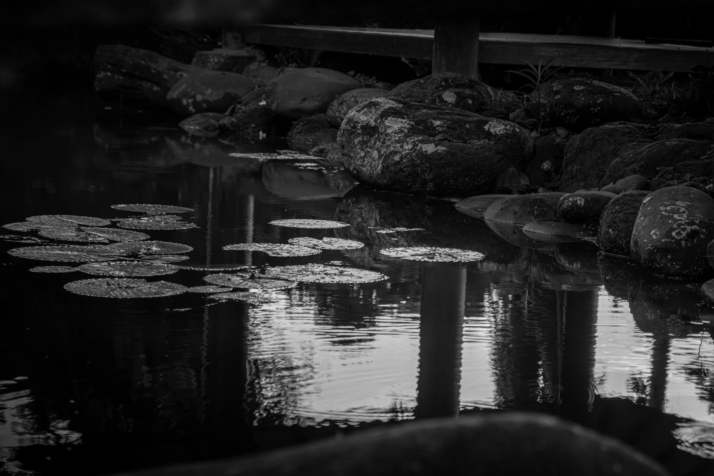 _MG_2916.jpg