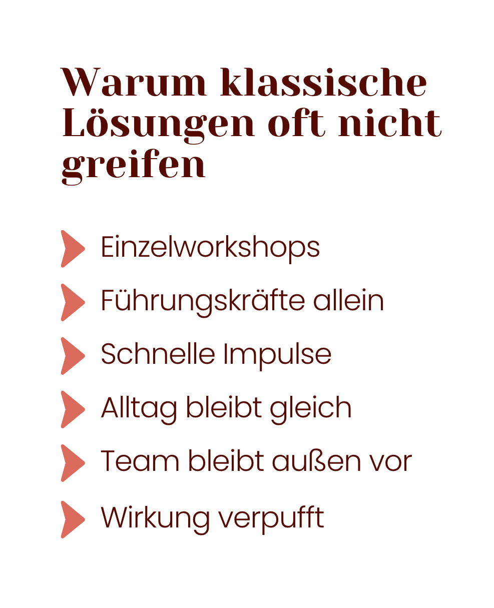 Titel eines Posters mit der Überschrift 'Warum klassische Lösungen oft nicht greifen' und einer Liste von fünf Punkten, die in roten Pfeilen eingeleitet werden: Einzelworkshops, Führungskräfte allein, Schnelle Impulse, Alltag bleibt gleich, Team bleibt außen vor, Wirkung verraucht.
