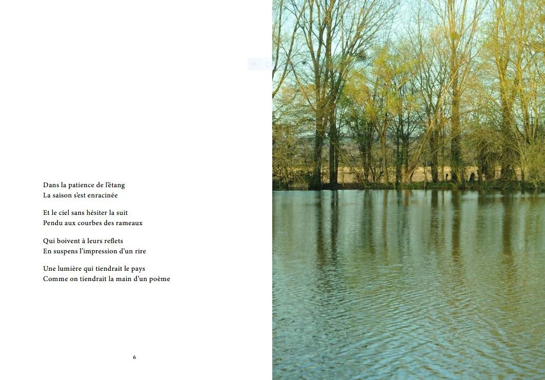 page6.JPG