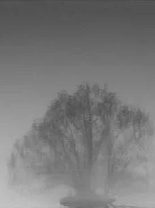 « Eaux fêlées », poème en prose de Brigitte Gyr, 2004