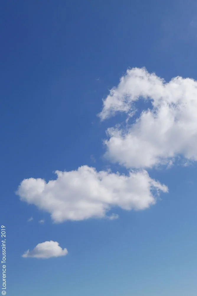 P1130943 - Copie copie.jpg