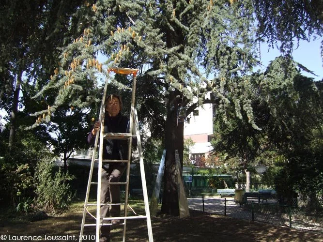 Genie des jardins.JPG