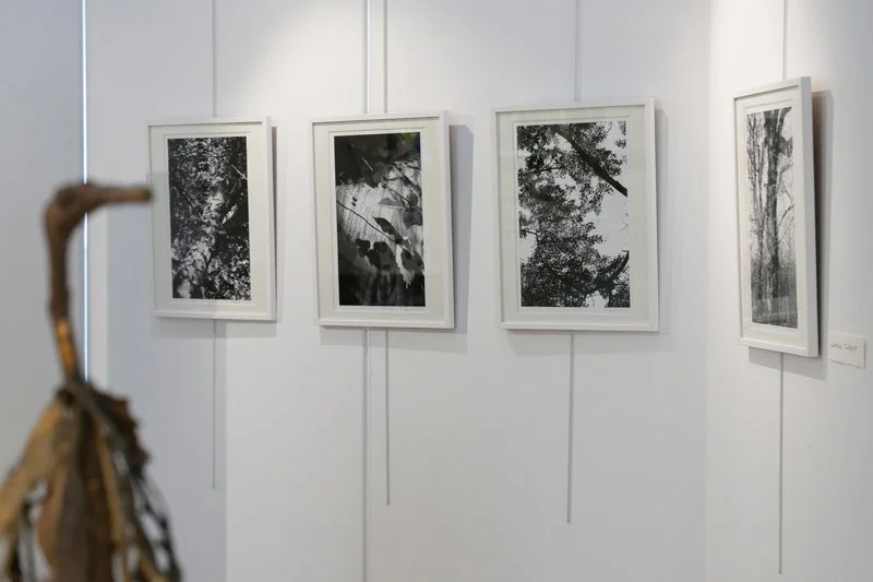 P1150416.JPG
