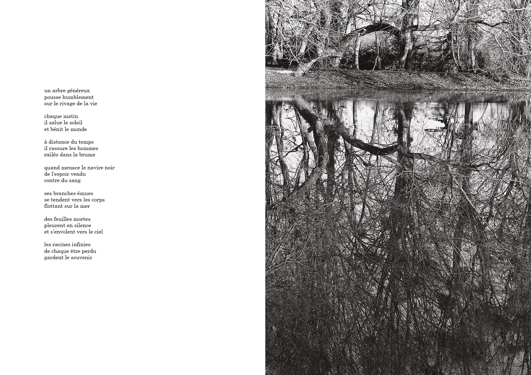 Version-pleine-page-LGRISON-A3-3---Copie.jpg