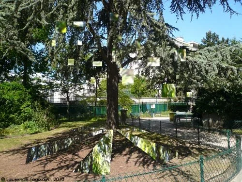 L ombre de l arbre ou miroir brise.JPG