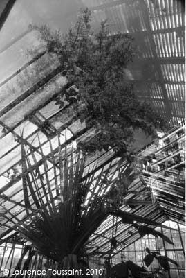 « Mirror, mirror on the wall...», Galerie du Lucernaire, 2007