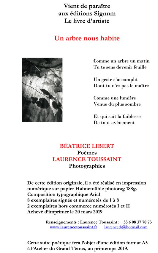 argumentaire de parution un arbre nous habite copie.jpg