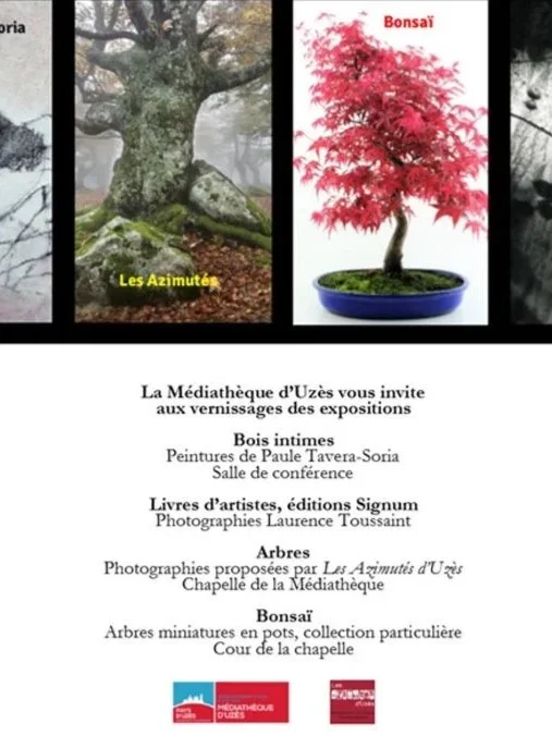 « Exposition autour des arbres » Uzès , 2019