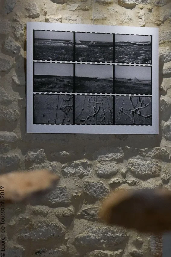 P1150545.JPG