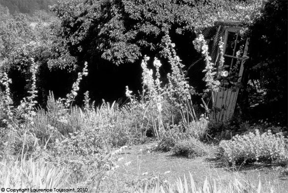 paroles de jardin 01.jpg