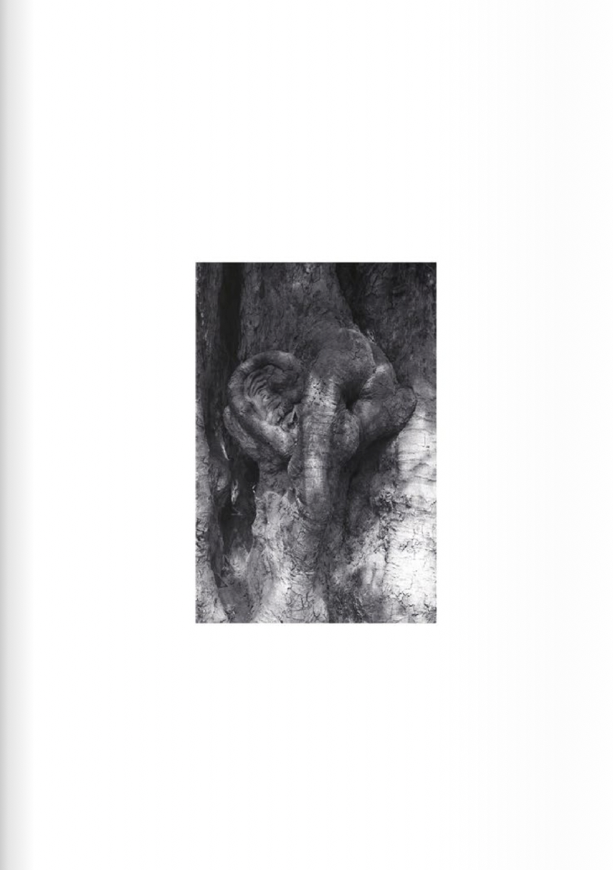 « Infinite Memories », poèmes de Tanya Mendonsa, 2017