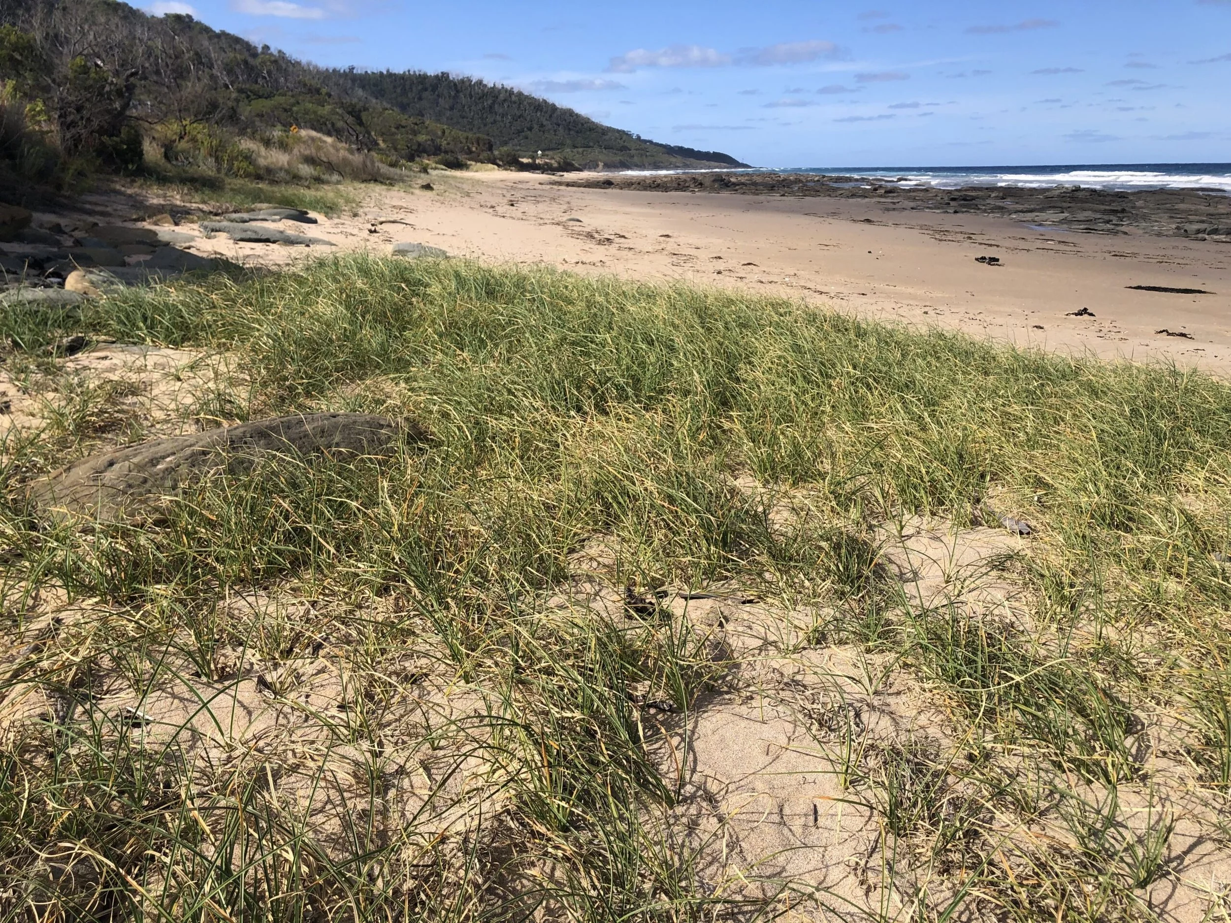 Marengo Barham Catchment Landcare Group